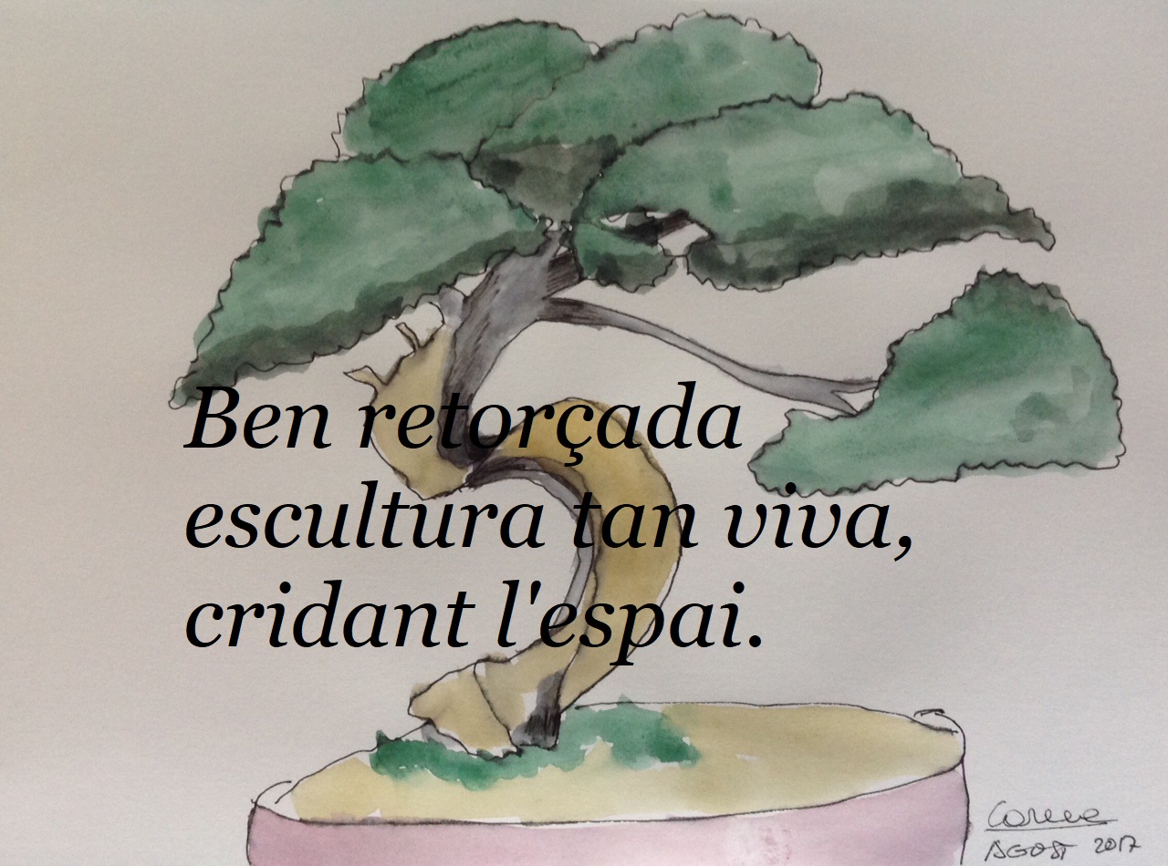 Tandem Haiku Bonsai