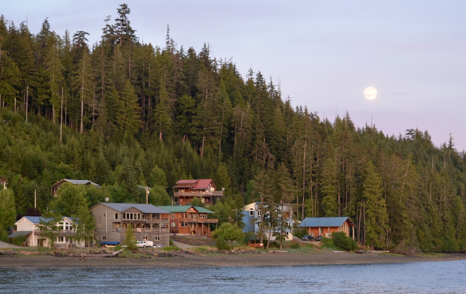 Sea Lurchin Thorne Bay, June 1, 2015