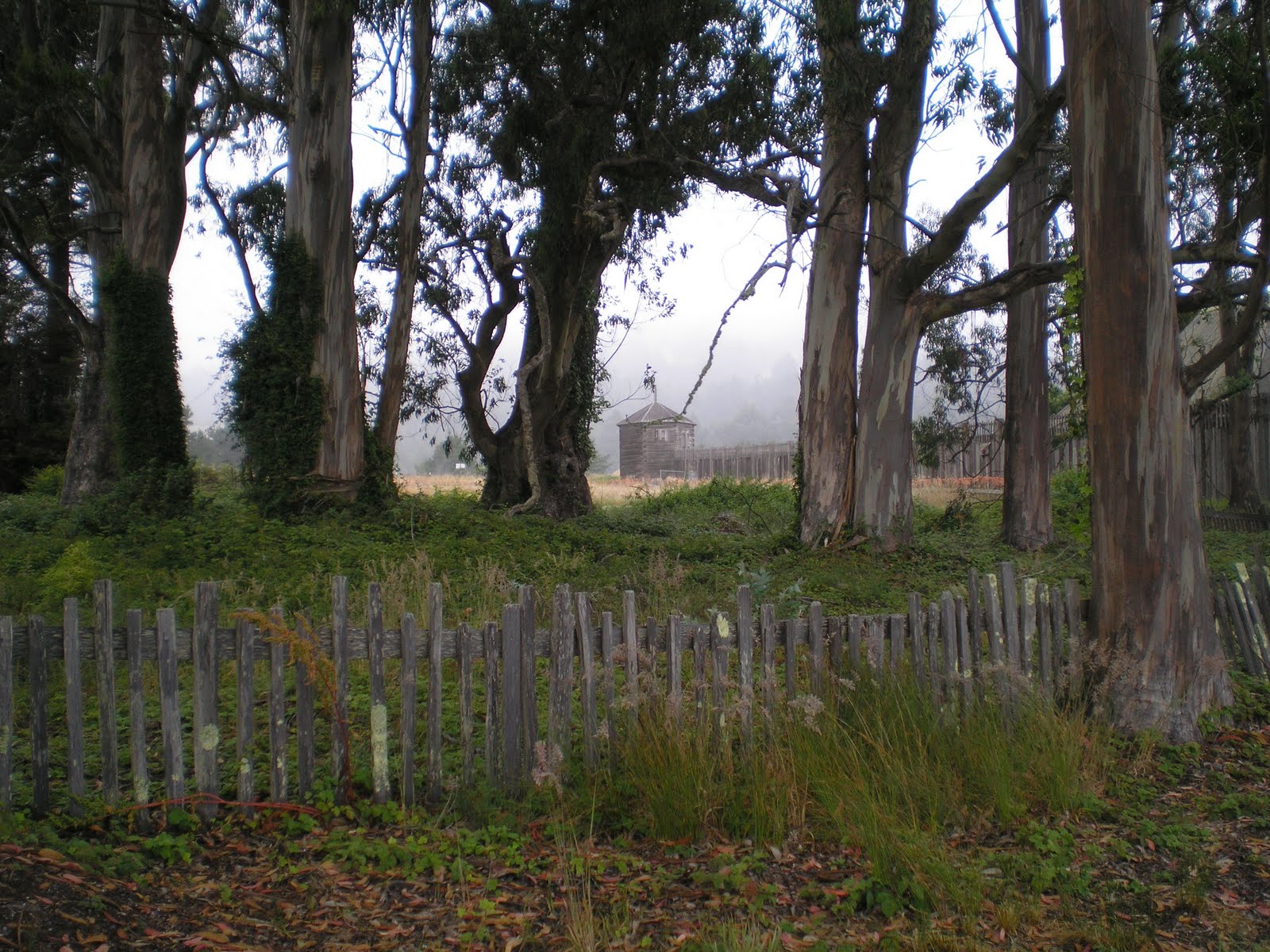The Road Genealogist Duncans Mills to Cazadero to Fort Ross