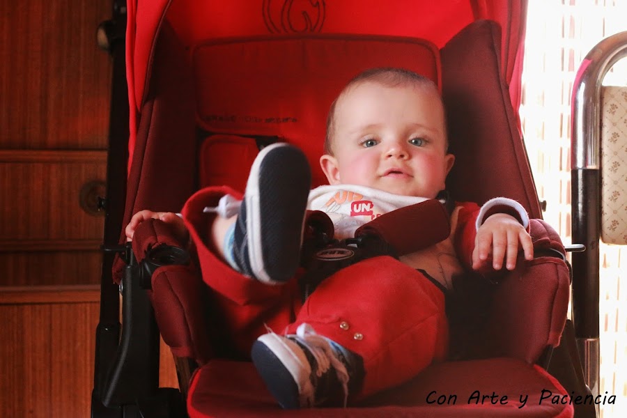 tierna,amistad,friendship,bebe,baby,perro,perrito,dog,doggy,ternura,preciosas,graciosas,fotos,entre,perrita,niño,pequeño,padres,mascotas,perros,pets,parents,risas,sonrisas,alegría,ventajas,happines,advantages,smile