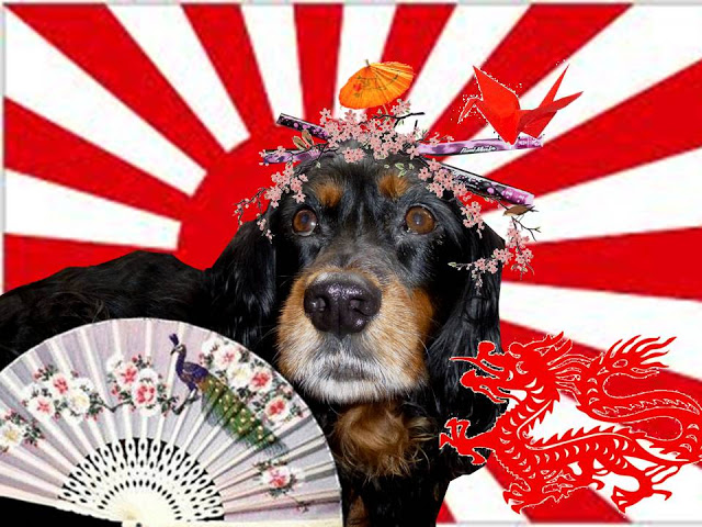 Molly The Wally Goes To Japan.