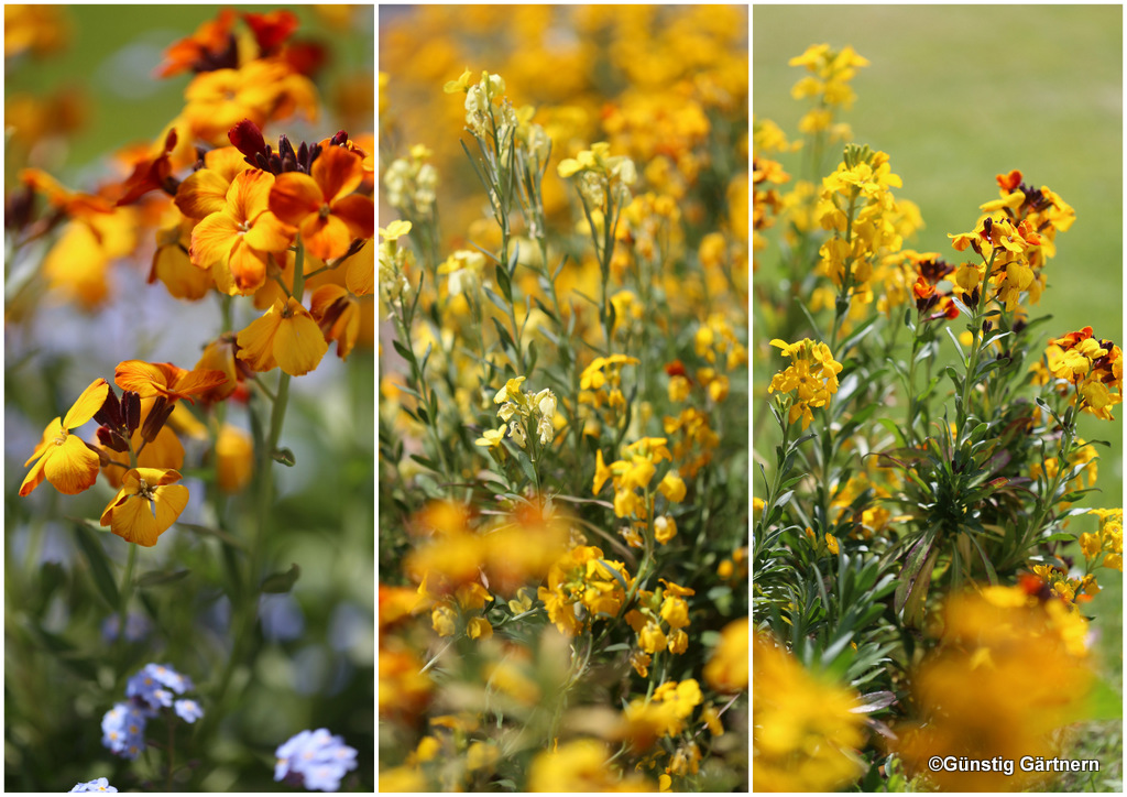 Grosser S Ruhrguide Ruhrleuchten