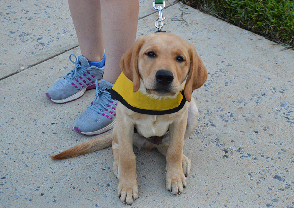 U of M Multi-Media Mayhem Fall 2019: Photo Assignment #1, Thompson