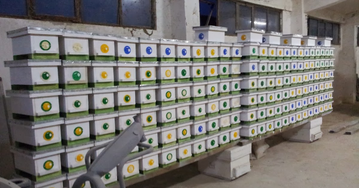 KOLAY ARICILIK Ana Arı Çiftleşme Kutusu Yapımı 5 (Mutlu Son)