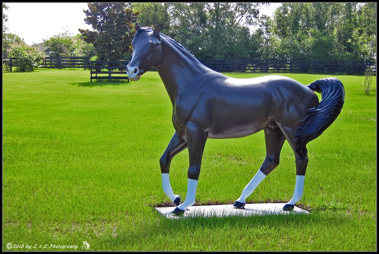 Ocala, Central Florida & Beyond Ocala horse statues