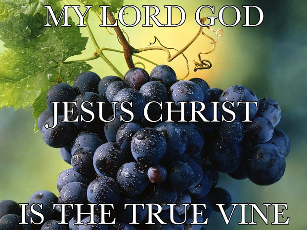 Jesus Christ the True Vine