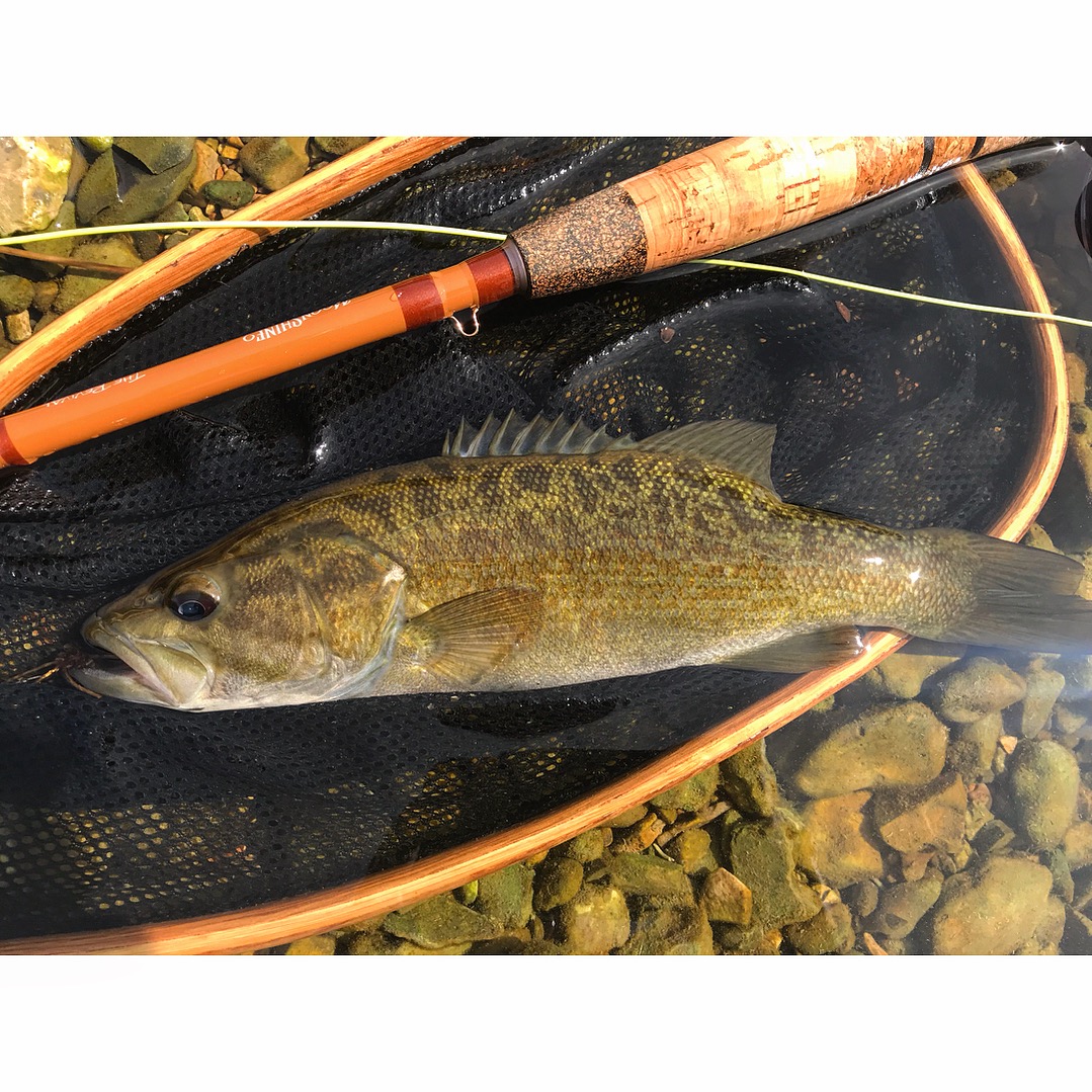 BUGGIN' OUT.: Moonshine Revival Fly Rod - Review
