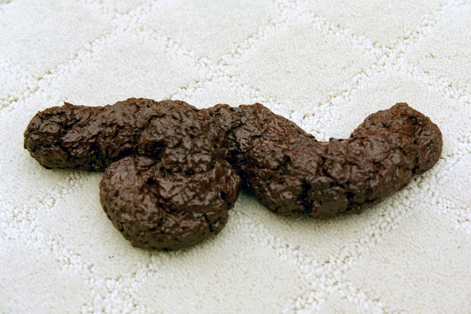 The FLOG A Steaming Pile of DNA