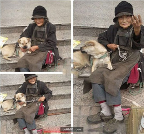 Trai tim tan chay voi anh xuc dong ve 