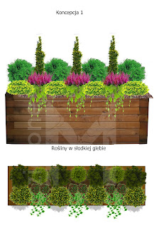 Rośliny na balkonie