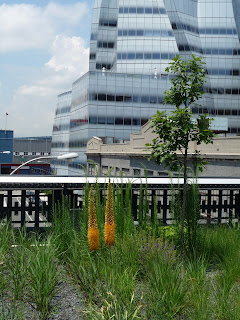 IAC building, view from the High Line