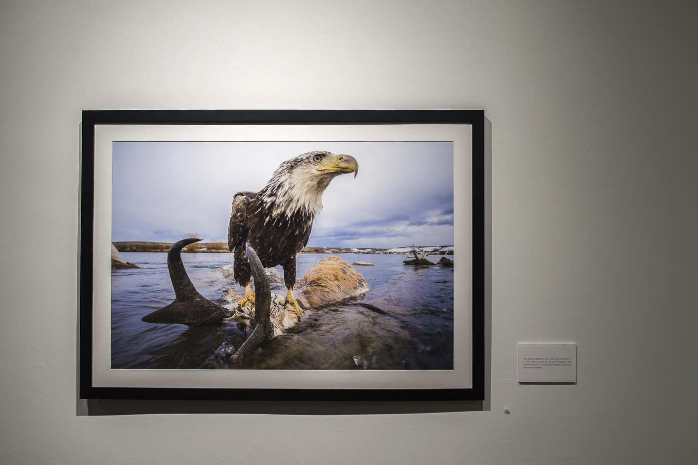 chris smith photography