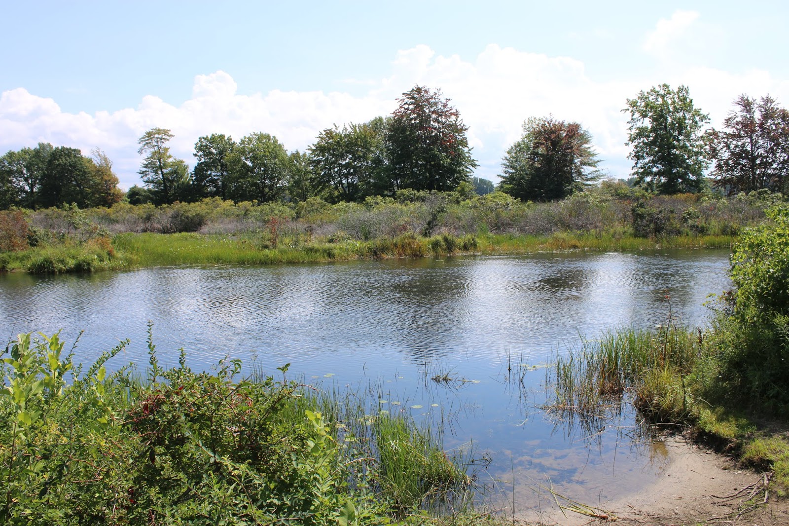 A Visit to Presque Isle State Park Interesting Pennsylvania and Beyond