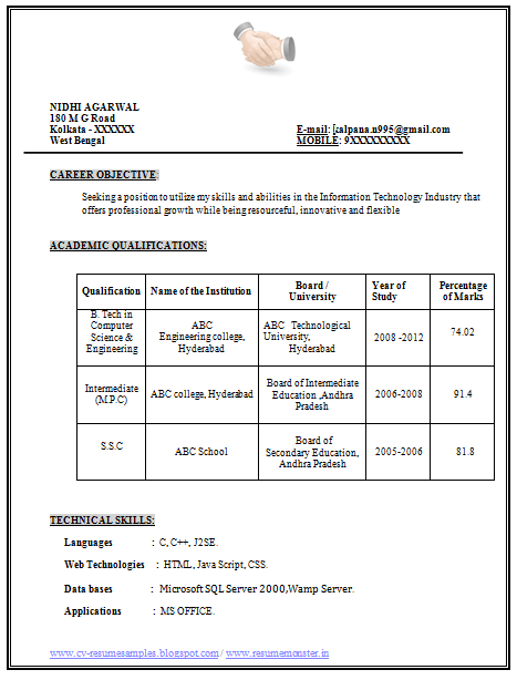 Over 10000 CV and Resume Samples with Free Download: Example of CV Formats
