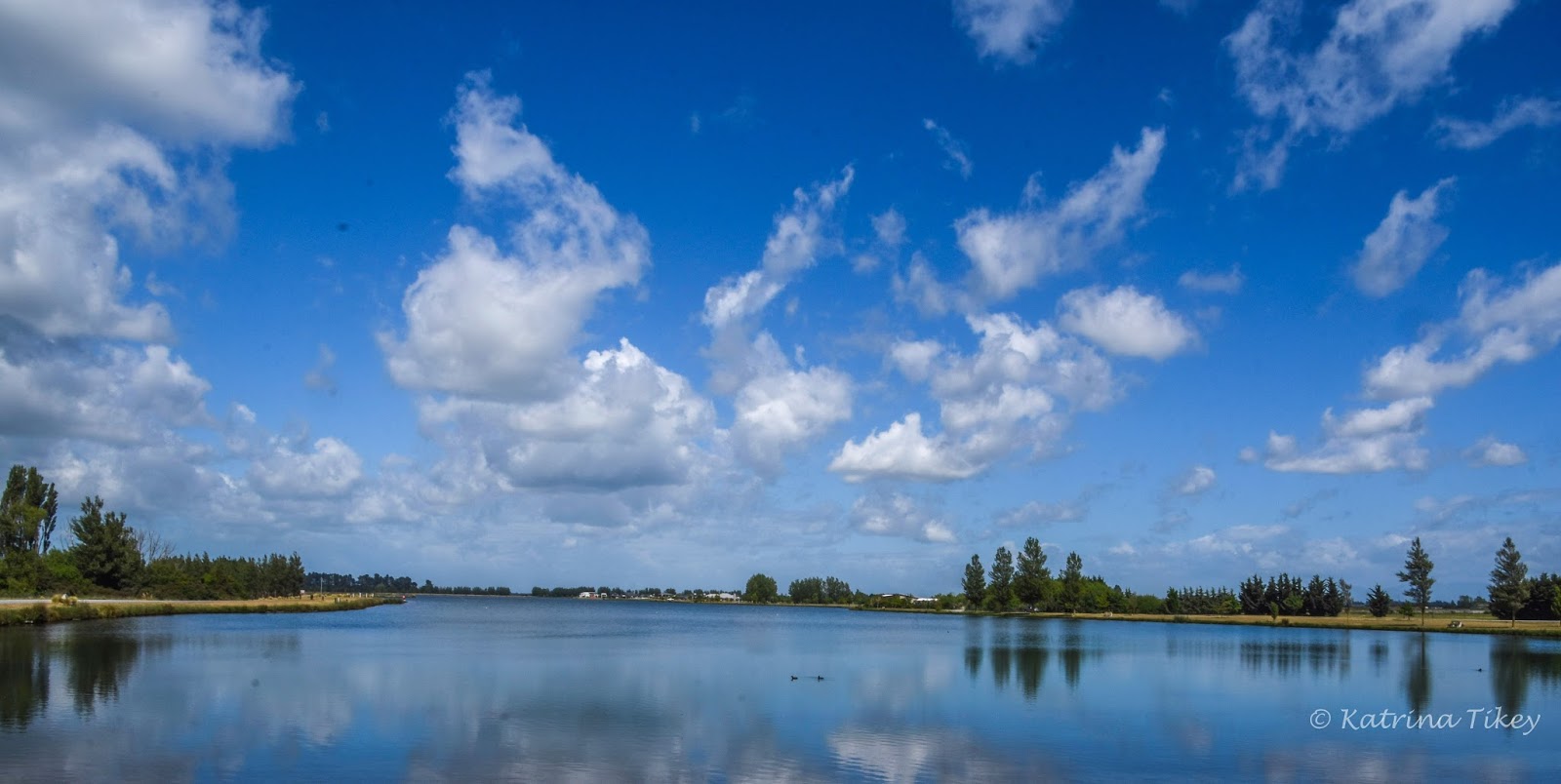 Paws Awhile ManMade Lake