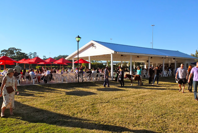 Houston Polo Club, Houston Polo