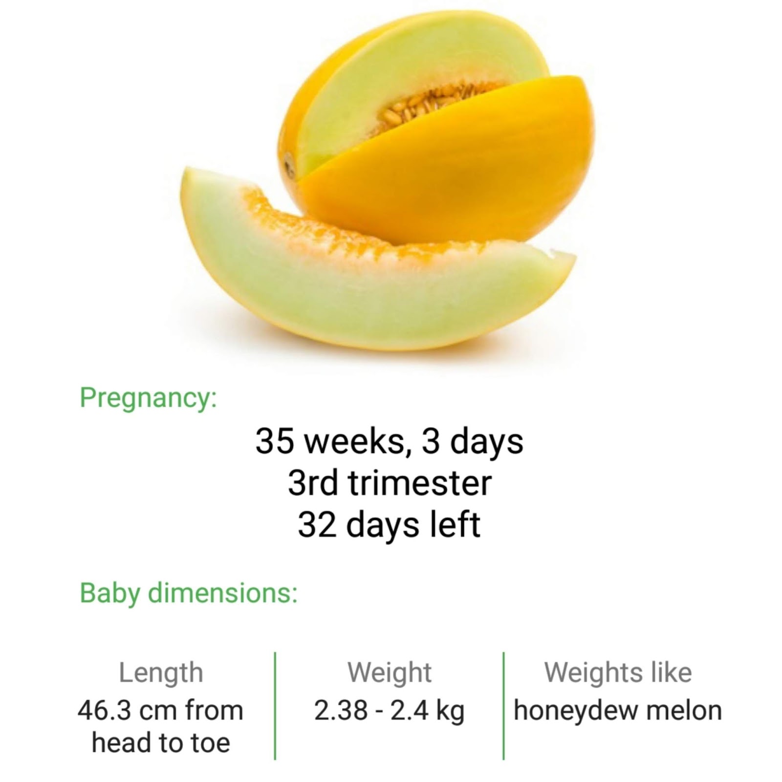 Беременность фрукты размер. Размер малыша фрукты. 35 Недель какой фрукт. Размер ребенка по неделям фрукты. 35 Неделя беременности какой фрукт.