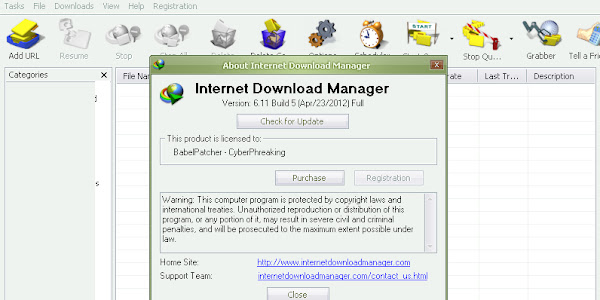 Download IDM 6.11 Build 5 Full Patch