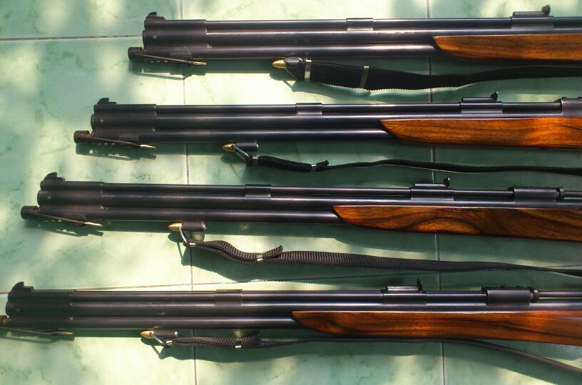 senapan angin dobel tabung