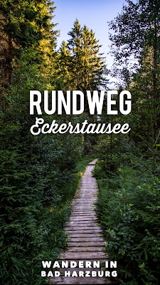 Rundweg Eckerstausee | Wanderung Bad Harzburg | Wandern-Harz | Wandern in Niedersachsen