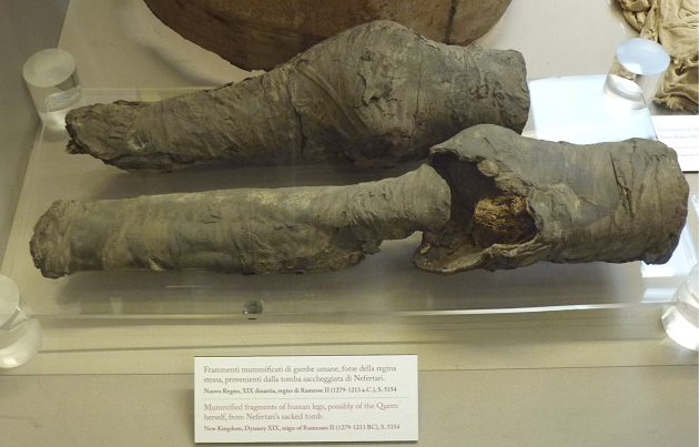 Des jambes momifiées appartiendraient à la reine égyptienne Néfertari 