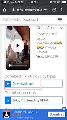 How to Download Tiktok Videos Without Watermark 13