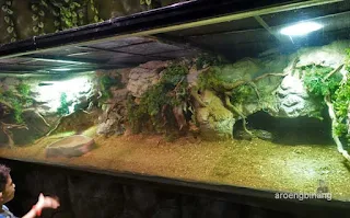 jakarta aquarium neo soho