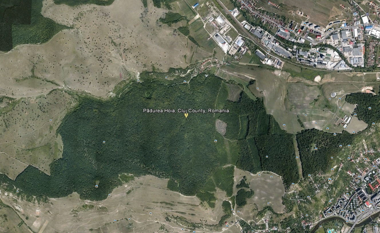 ab-origine-hoia-baciu-a-floresta-assombrada-da-rom-nia