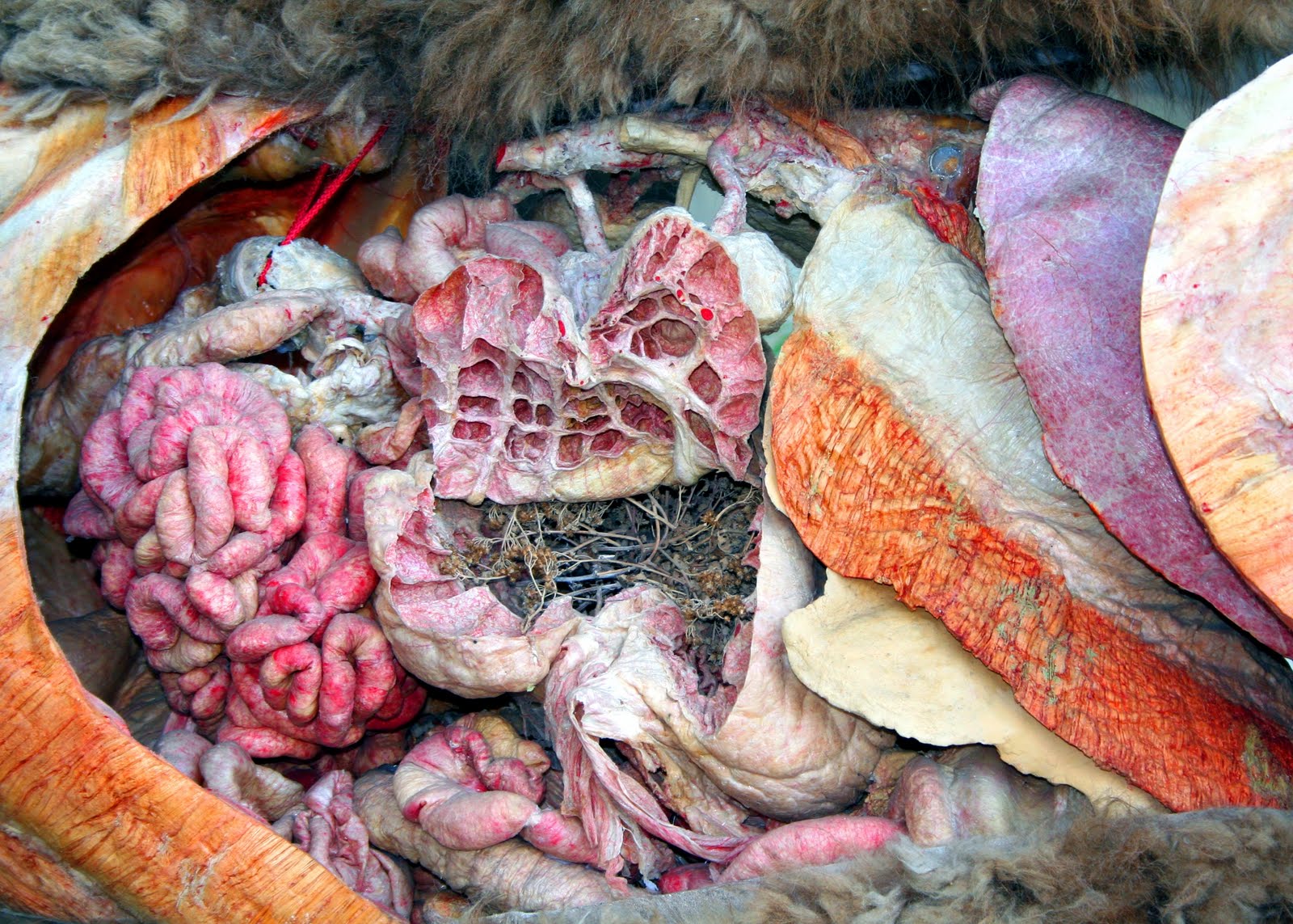 The Writing Life Too: 08/01/2011 - 09/01/2011