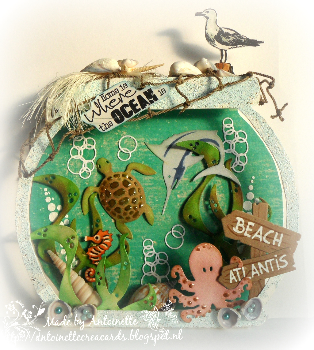 creacards HOME IS WHERE THE OCEAN IS...