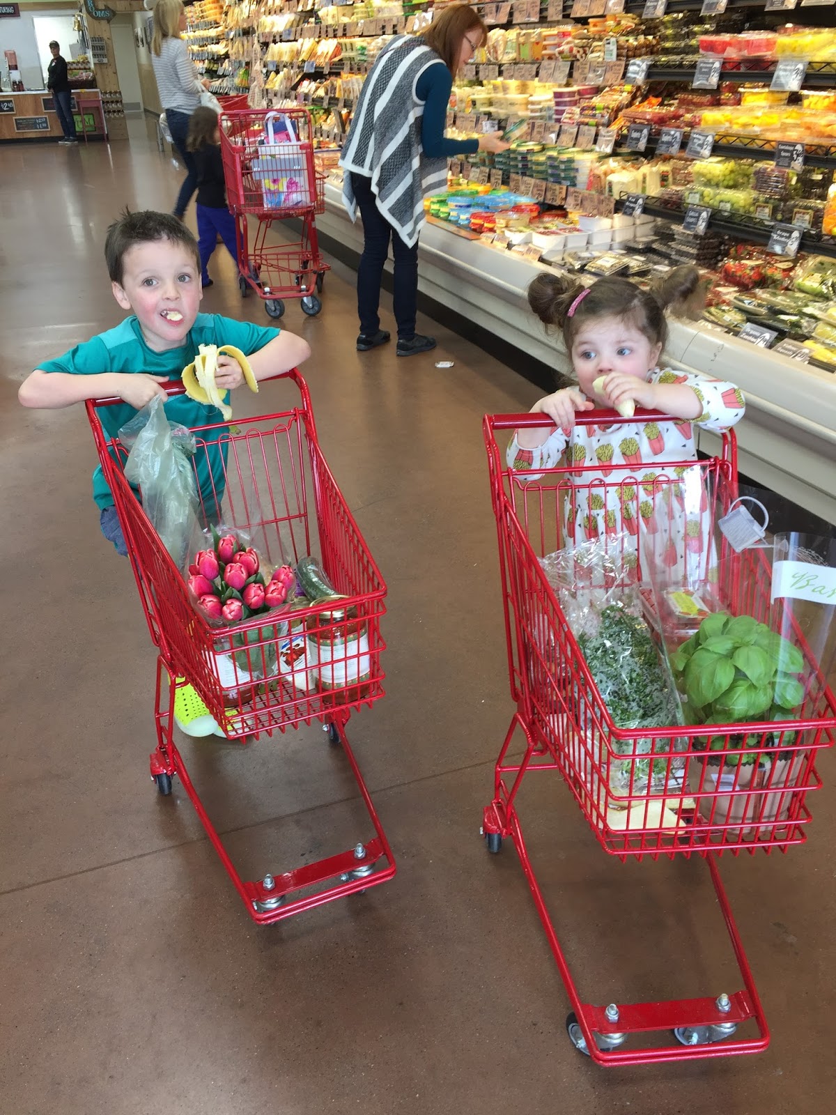 Momfessionals Trader Joe's Favorites