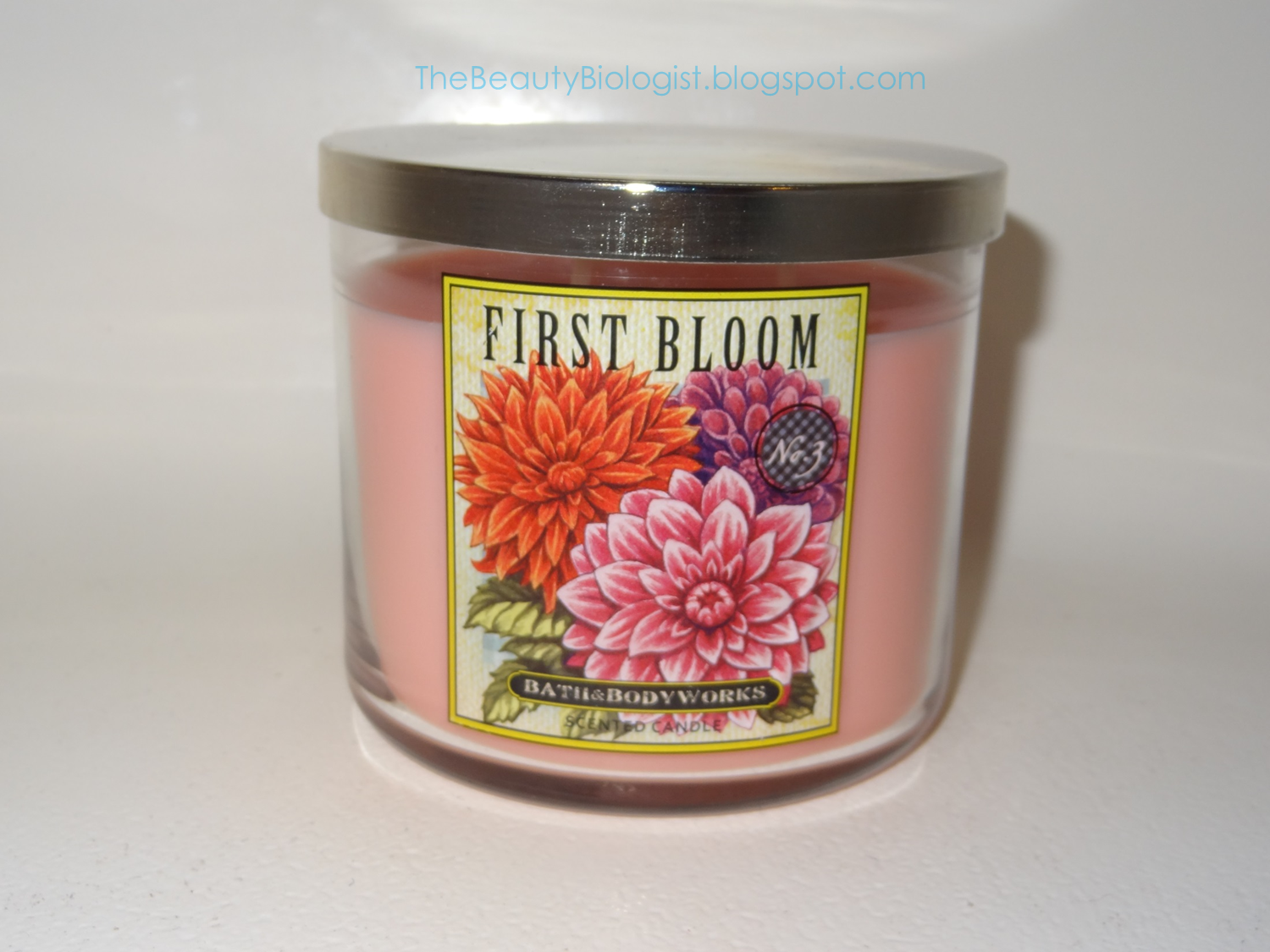 The Beauty Biologist Bath and Body Works 2 for 22, 3wick Candles