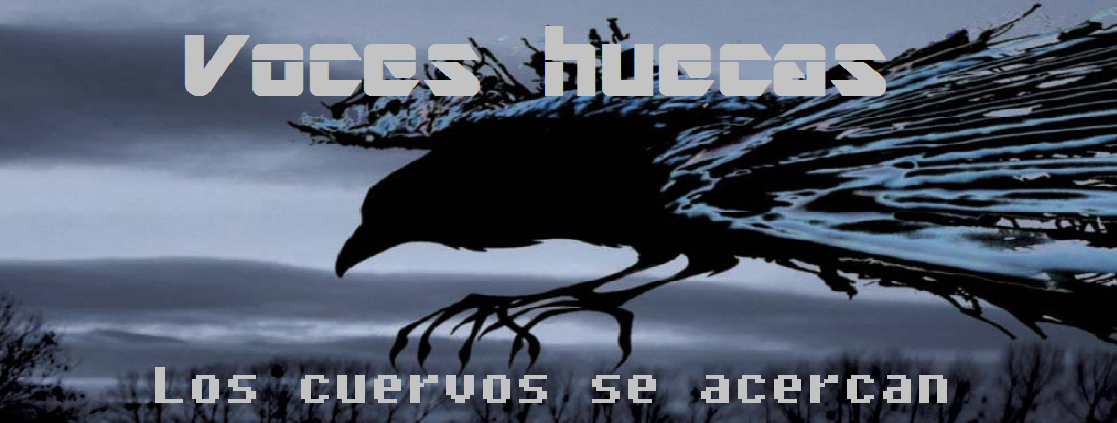 Voces huecas