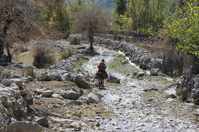 Kirghizistan, Arslanbob, © L. Gigout, 2012