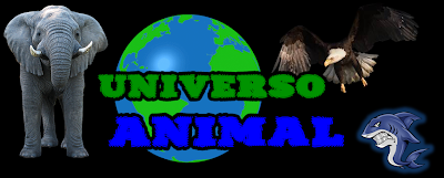 Universo Animal