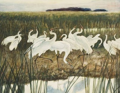 Dance of the Whooping Cranes by N. C. Wyeth