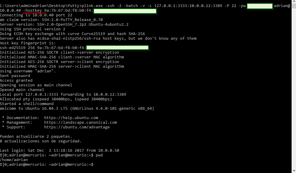 Plink SSH Auto aceptar hostkey fingerprint al crear un túnel local
