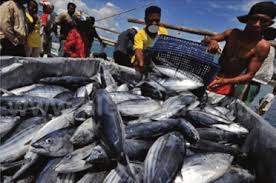 Bidang Bidang Produksi Ensikloblogia