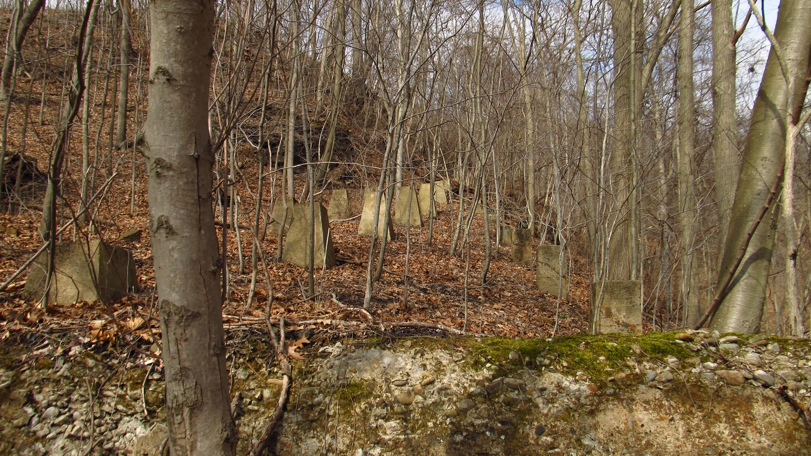 Old Industry of Southwestern Pennsylvania Coke Works Cheathaven/Lake