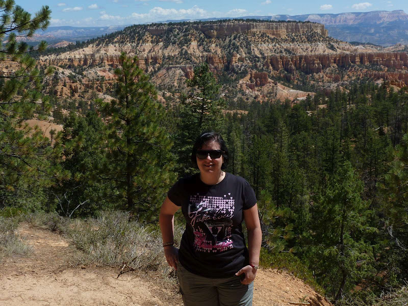 13: Bryce Canyon - Driving me ... USA (8)