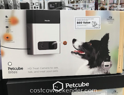 Keep an eye on your pet when you're away with Petcube Bites