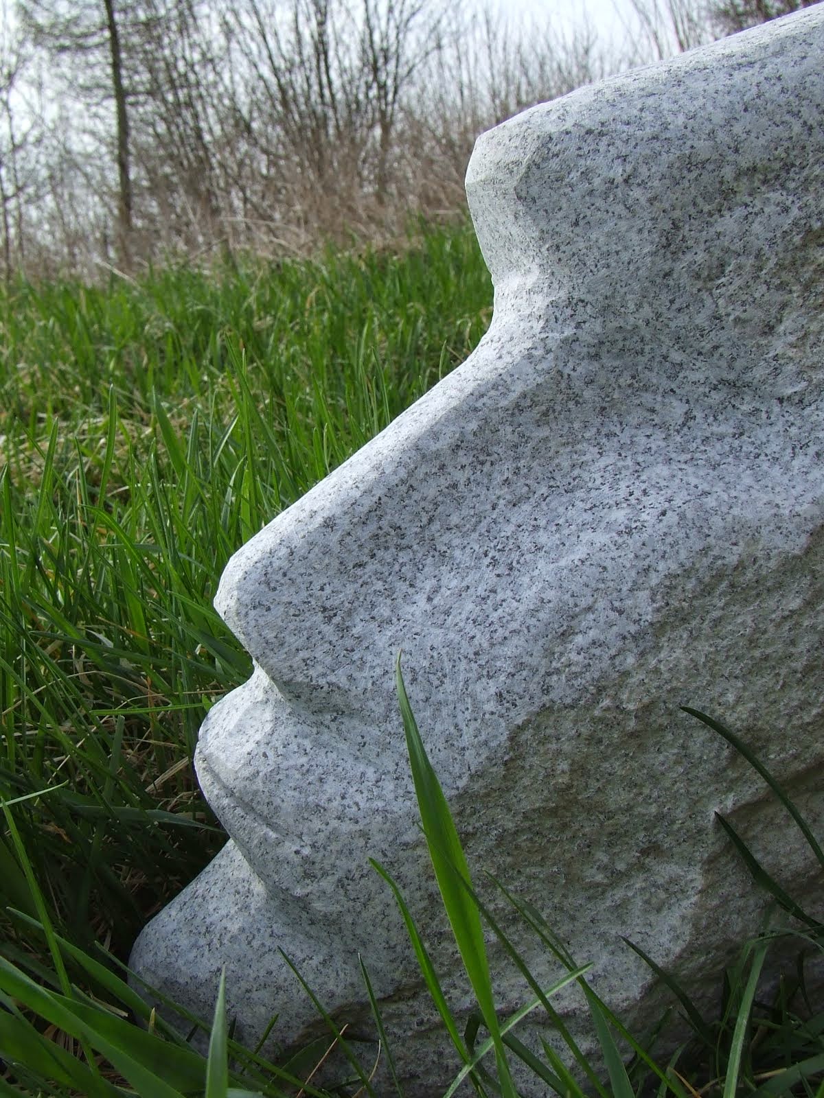 Głowa granit Strzelin