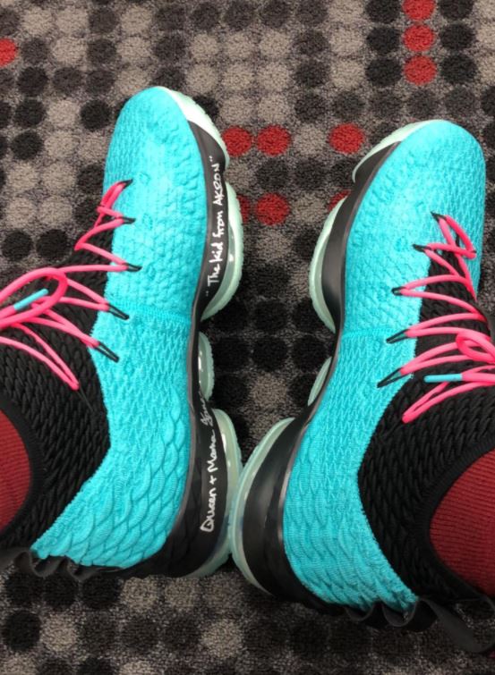 lebron 15 south beach price