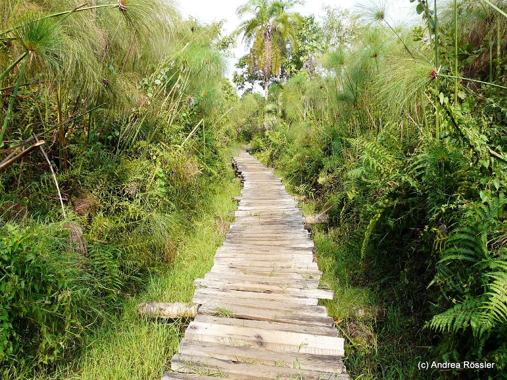 Kathrynsky S Page 56 Chan 10367073 Rssing Com