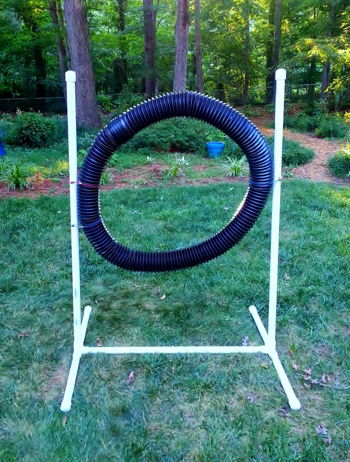 Grace and Buster DIY Agility Equipment Tire Jump