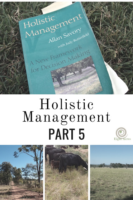 Eight Acres: Holistic Management - part 5: tools for managing ecosystem processes