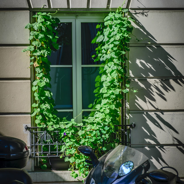 Miksang moment tijdens de fotografie workhop in Parijs