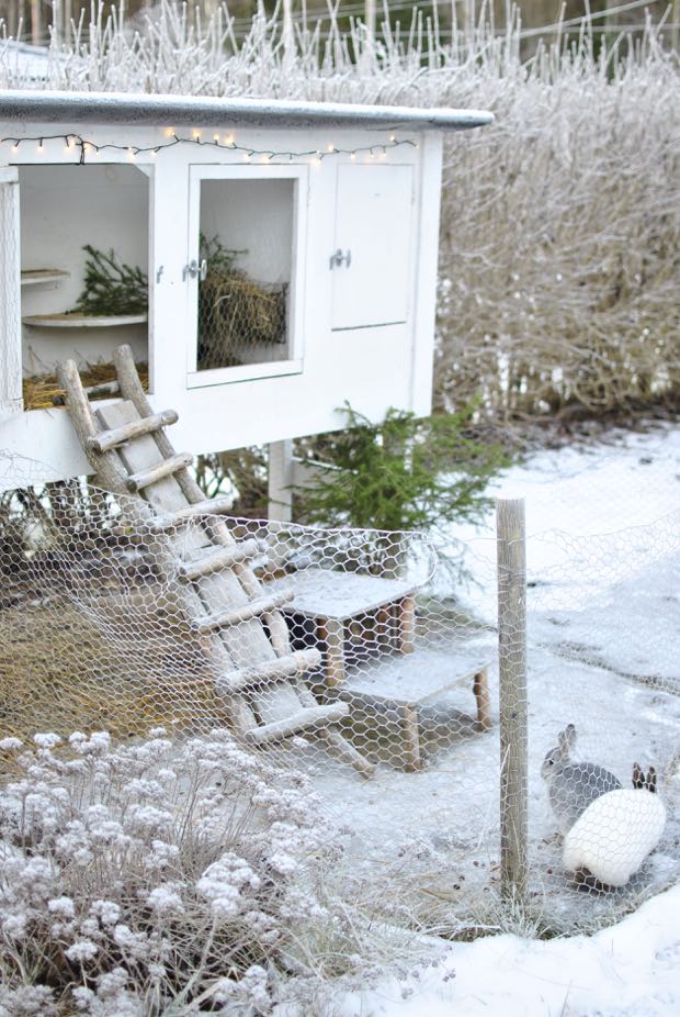Hannas: jul hos kaninerna
