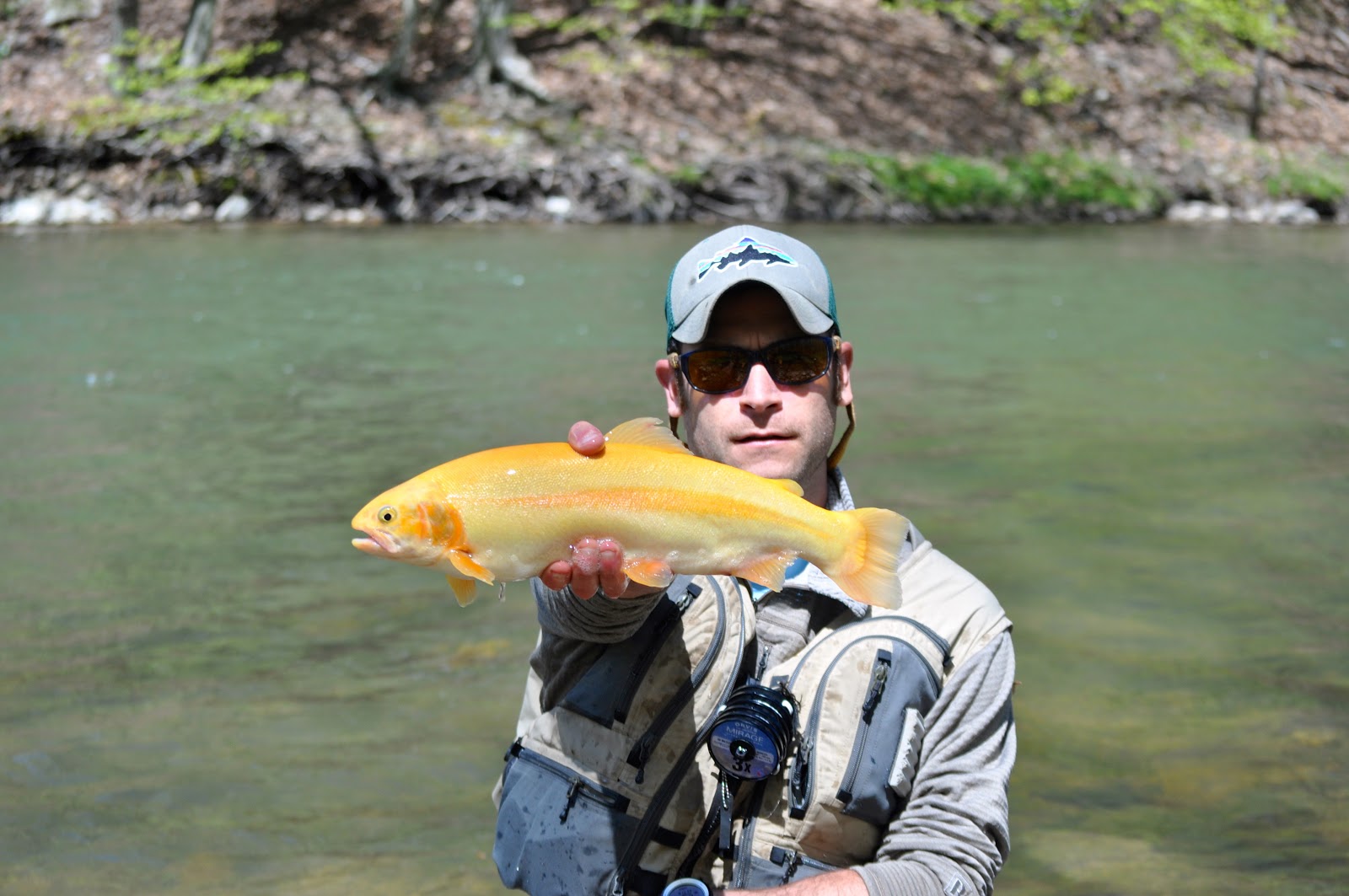 Grobe Anglers And Adventures Penns Creek 5113 thru 5413