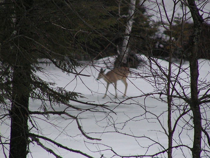 Kids Winter Getaway Almaguin Area near Muskoka Snow Tubing Parks for